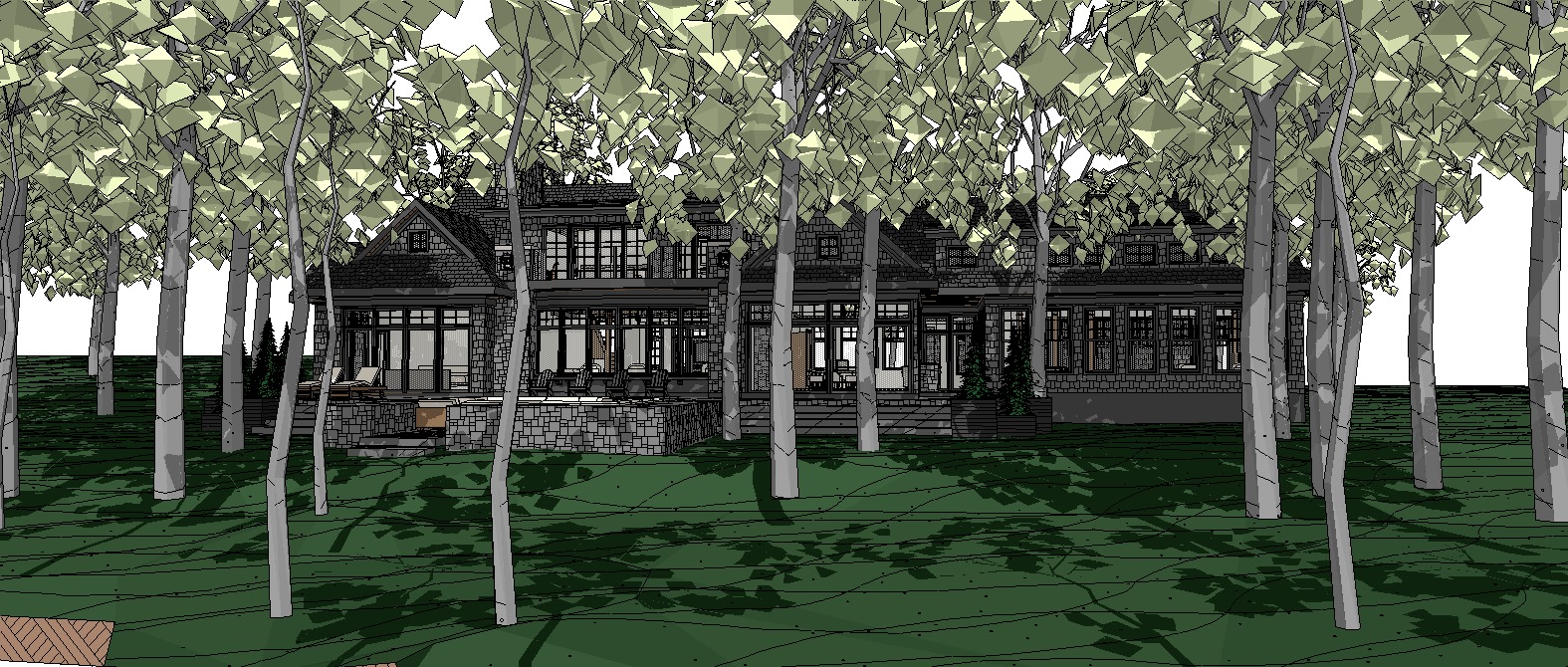 New Cottage Design Muskoka Lakes